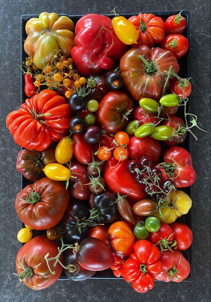 Orchard's Bounty Fresh Mix Ensemble